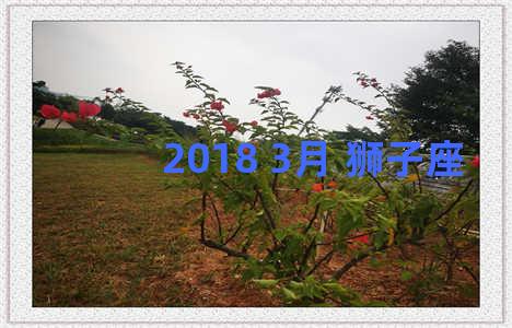 2018 3月 狮子座